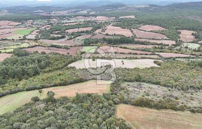 ÇANAKKALE BAYRAMİÇ ÜÇYOL KÖY'ÜNDE YATIRIMLIK PREMİUM FIRSAT!!!