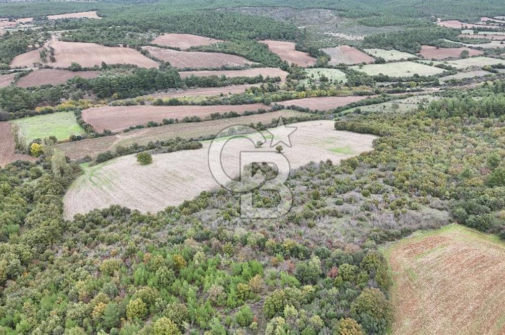 ÇANAKKALE BAYRAMİÇ ÜÇYOL KÖY'ÜNDE YATIRIMLIK PREMİUM FIRSAT!!!