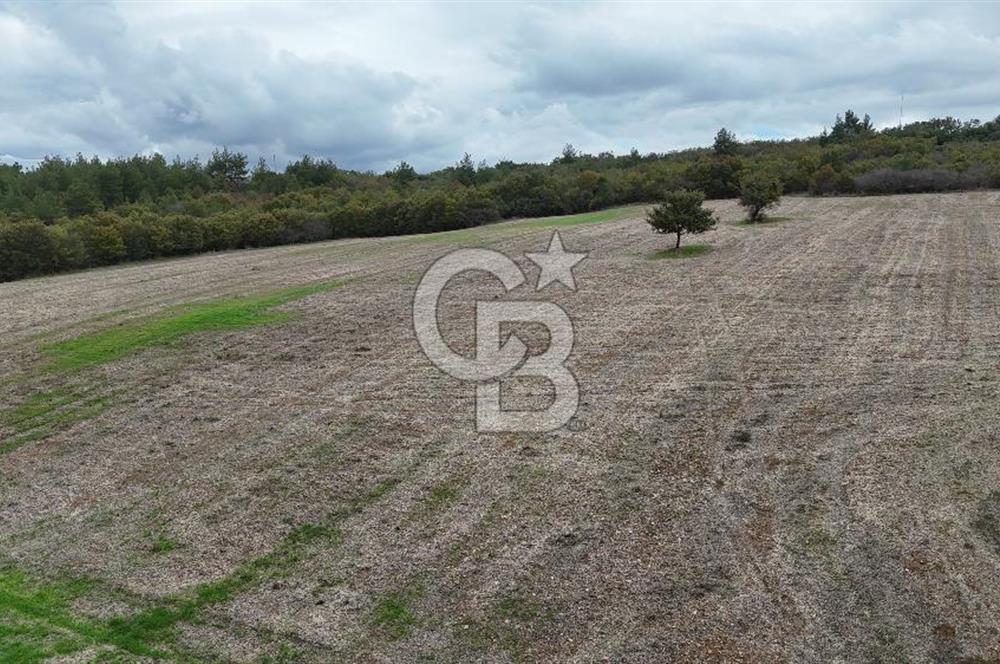 ÇANAKKALE BAYRAMİÇ ÜÇYOL KÖY'ÜNDE YATIRIMLIK PREMİUM FIRSAT!!!