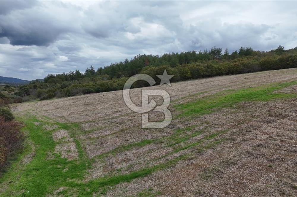 ÇANAKKALE BAYRAMİÇ ÜÇYOL KÖY'ÜNDE YATIRIMLIK PREMİUM FIRSAT!!!