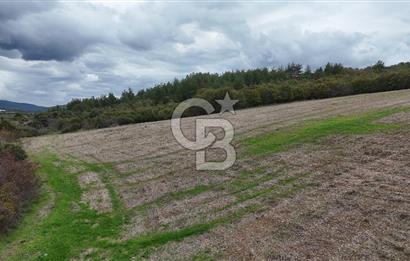 ÇANAKKALE BAYRAMİÇ ÜÇYOL KÖY'ÜNDE YATIRIMLIK PREMİUM FIRSAT!!!