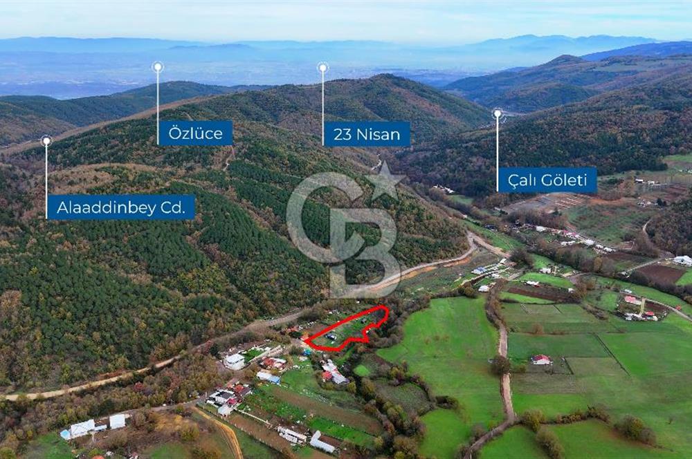 Nülüfer atlas yatırmlık arazi 