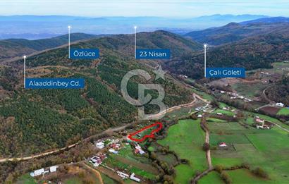 Nülüfer atlas yatırmlık arazi 