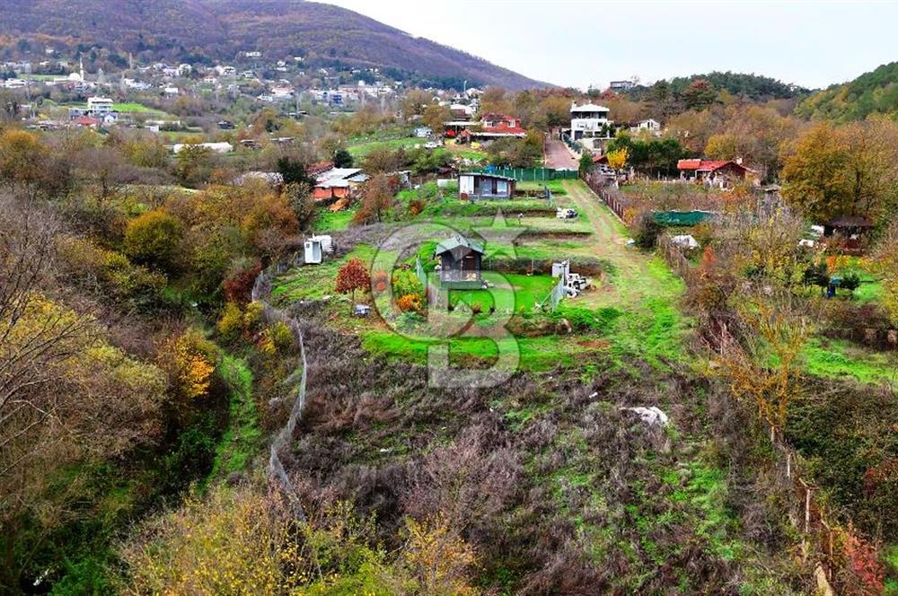 Nülüfer atlas yatırmlık arazi 