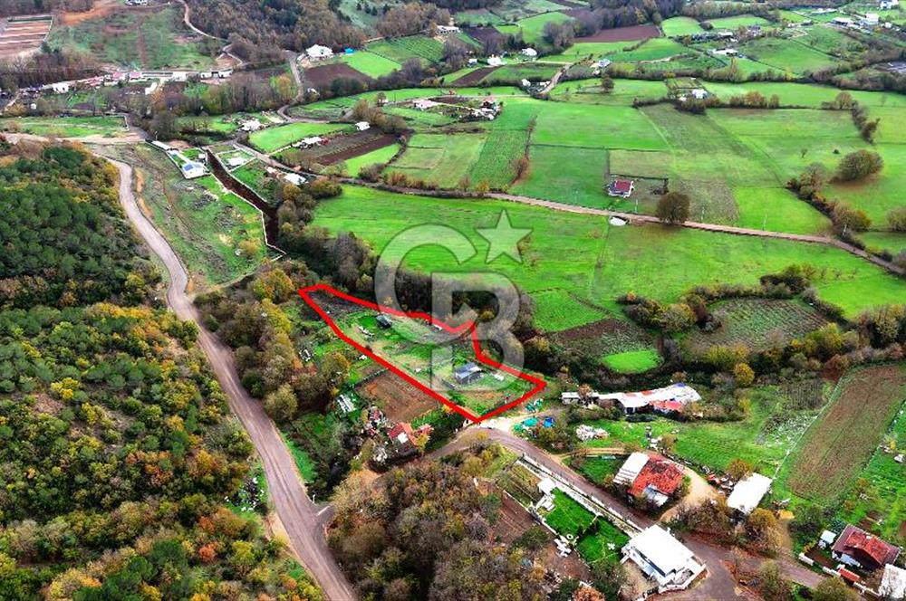 Nülüfer atlas yatırmlık arazi 