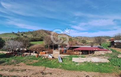 ÇANAKKALE AYVACIK KÖSEDEREDE 820 M² SATILIK ARSA