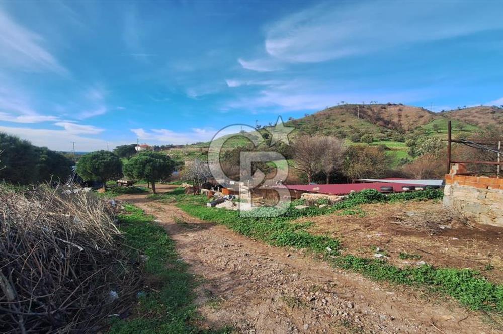 ÇANAKKALE AYVACIK KÖSEDEREDE 820 M² SATILIK ARSA