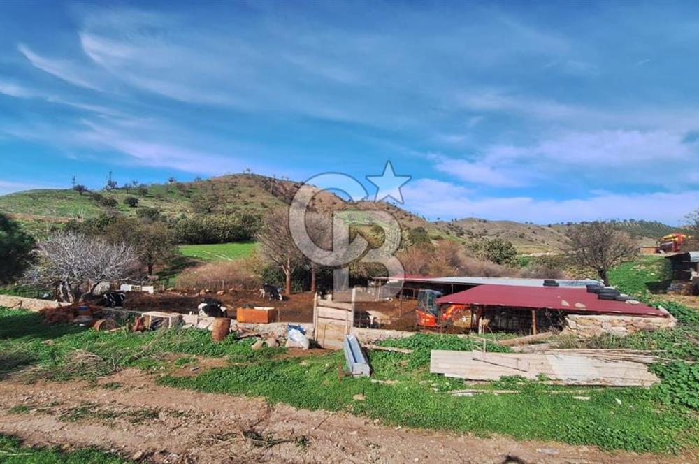 ÇANAKKALE AYVACIK KÖSEDEREDE 820 M² SATILIK ARSA