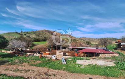 ÇANAKKALE AYVACIK KÖSEDEREDE 820 M² SATILIK ARSA