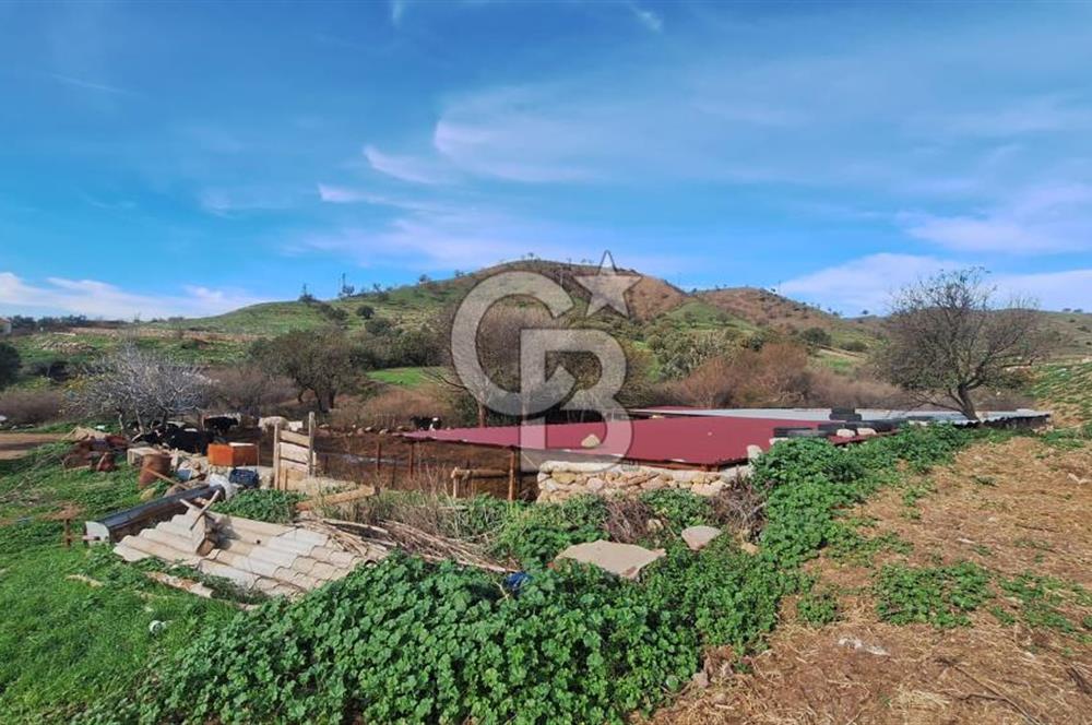 ÇANAKKALE AYVACIK KÖSEDEREDE 820 M² SATILIK ARSA