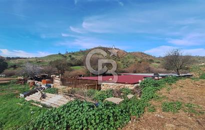 ÇANAKKALE AYVACIK KÖSEDEREDE 820 M² SATILIK ARSA