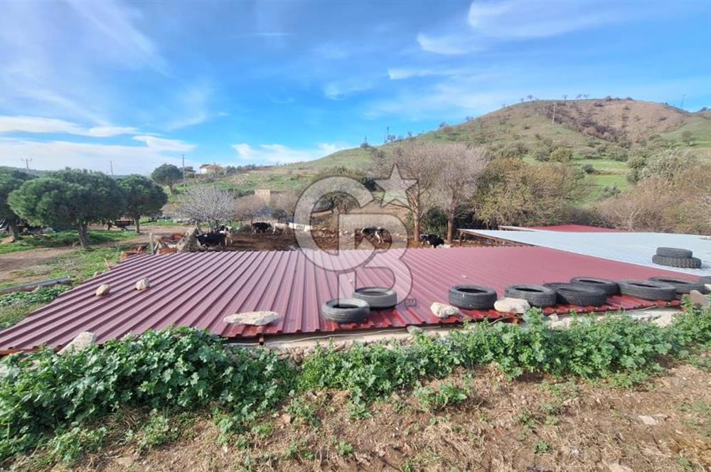 ÇANAKKALE AYVACIK KÖSEDEREDE 820 M² SATILIK ARSA