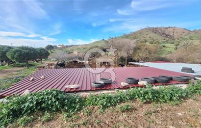 ÇANAKKALE AYVACIK KÖSEDEREDE 820 M² SATILIK ARSA