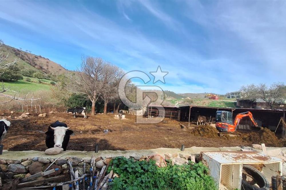 ÇANAKKALE AYVACIK KÖSEDEREDE 820 M² SATILIK ARSA