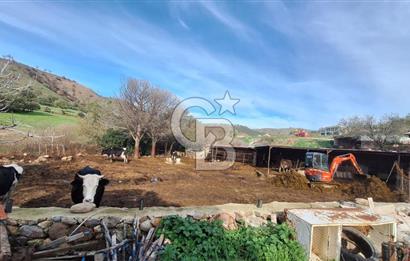 ÇANAKKALE AYVACIK KÖSEDEREDE 820 M² SATILIK ARSA