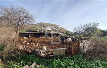 ÇANAKKALE AYVACIK KÖSEDEREDE 820 M² SATILIK ARSA