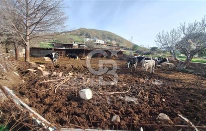 ÇANAKKALE AYVACIK KÖSEDEREDE 820 M² SATILIK ARSA