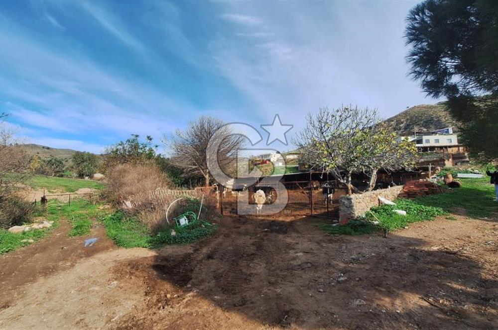 ÇANAKKALE AYVACIK KÖSEDEREDE 820 M² SATILIK ARSA