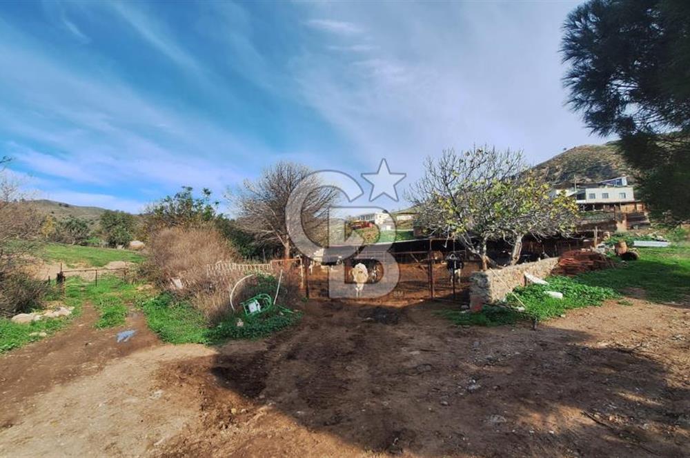 ÇANAKKALE AYVACIK KÖSEDEREDE 820 M² SATILIK ARSA