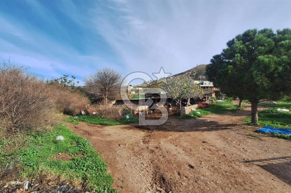 ÇANAKKALE AYVACIK KÖSEDEREDE 820 M² SATILIK ARSA