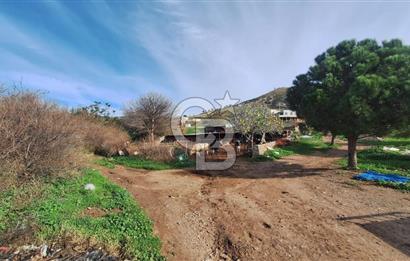 ÇANAKKALE AYVACIK KÖSEDEREDE 820 M² SATILIK ARSA