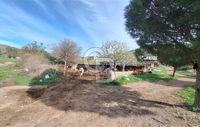 ÇANAKKALE AYVACIK KÖSEDEREDE 820 M² SATILIK ARSA