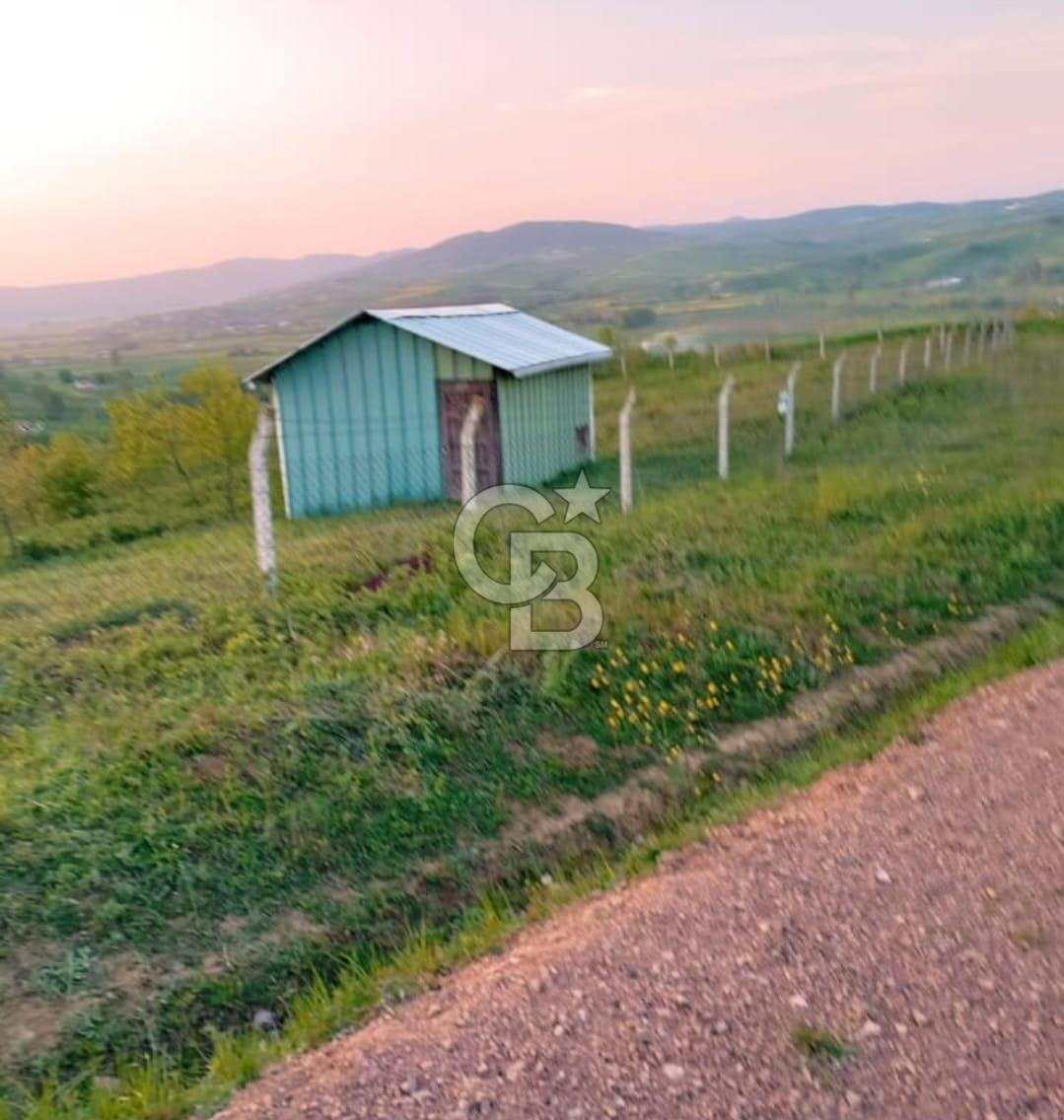 Kocaeli Körfez Himmetli %5 imarlı satılık düzgün 4 dönüm tarla
