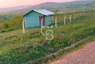 Kocaeli Körfez Himmetli %5 imarlı satılık düzgün 4 dönüm tarla - 8 - 320723