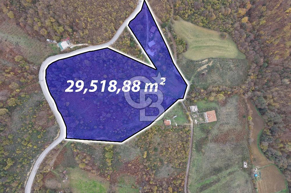 CB ENVOY Karamürsel Osmaniye'de 29 Dönüm Satılık %5 İmarlı Tarla