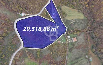 CB ENVOY Karamürsel Osmaniye'de 29 Dönüm Satılık %5 İmarlı Tarla