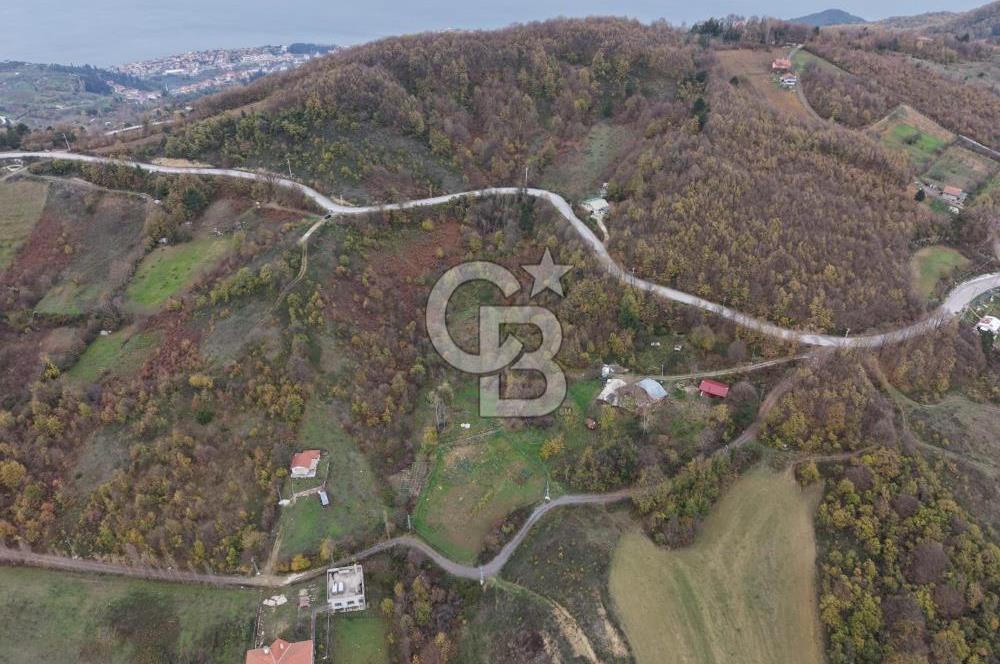 CB ENVOY Karamürsel Osmaniye'de 29 Dönüm Satılık %5 İmarlı Tarla