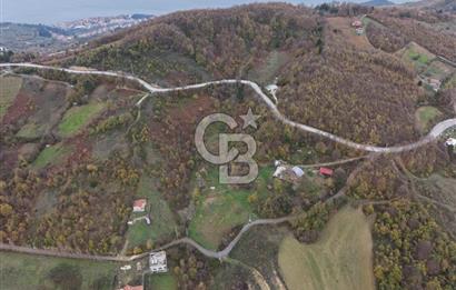 CB ENVOY Karamürsel Osmaniye'de 29 Dönüm Satılık %5 İmarlı Tarla