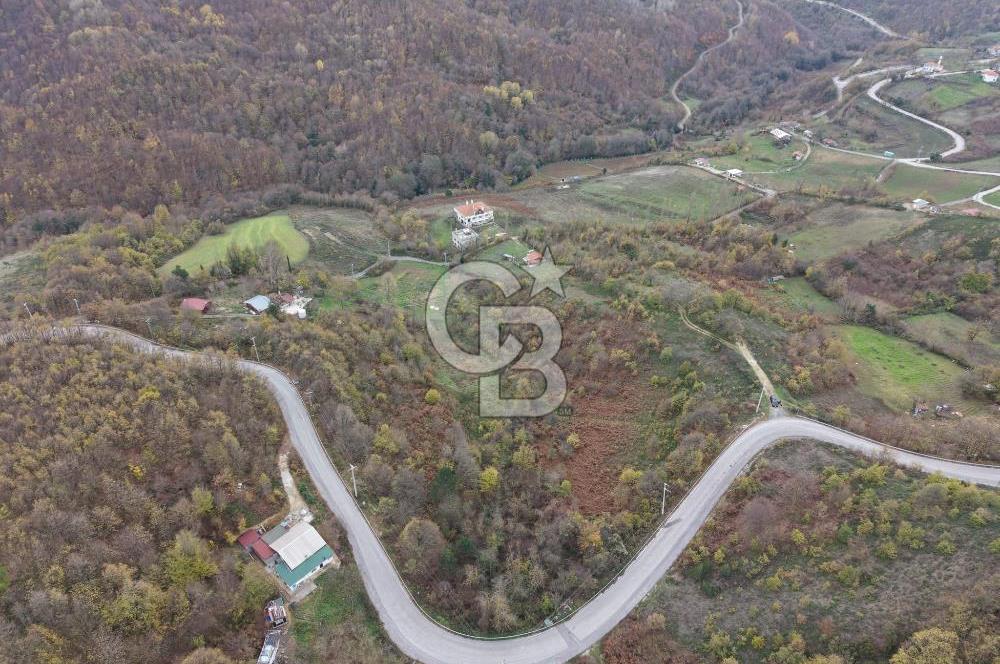 CB ENVOY Karamürsel Osmaniye'de 29 Dönüm Satılık %5 İmarlı Tarla