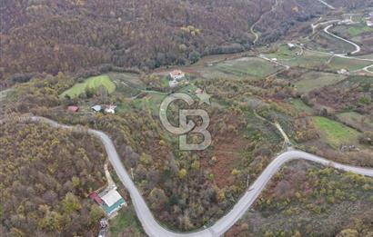 CB ENVOY Karamürsel Osmaniye'de 29 Dönüm Satılık %5 İmarlı Tarla