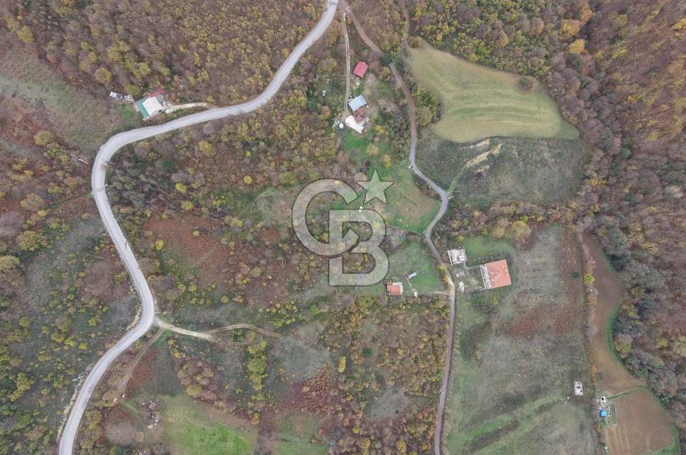 CB ENVOY Karamürsel Osmaniye'de 29 Dönüm Satılık %5 İmarlı Tarla