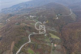 CB ENVOY Karamürsel Osmaniye'de 29 Dönüm Satılık %5 İmarlı Tarla - 6 - 320711