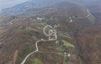 CB ENVOY Karamürsel Osmaniye'de 29 Dönüm Satılık %5 İmarlı Tarla