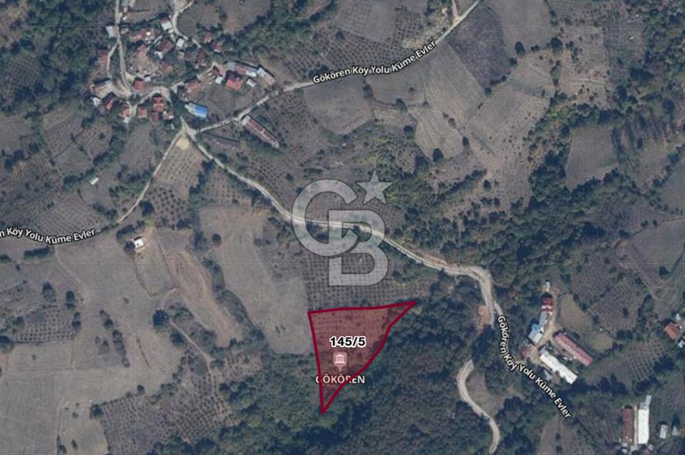 MUDURNU GÖKÖREN DE KÖY İÇİ 4887 M2 TARLA