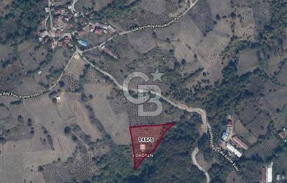 MUDURNU GÖKÖREN DE KÖY İÇİ 4887 M2 TARLA