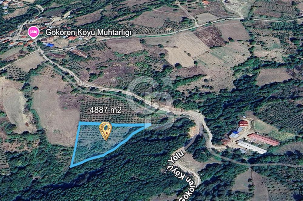 MUDURNU GÖKÖREN DE KÖY İÇİ 4887 M2 TARLA