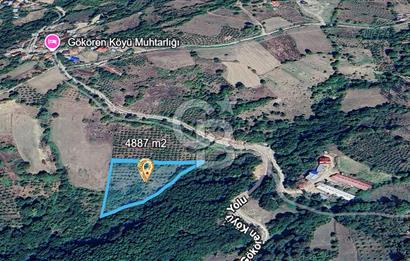 MUDURNU GÖKÖREN DE KÖY İÇİ 4887 M2 TARLA