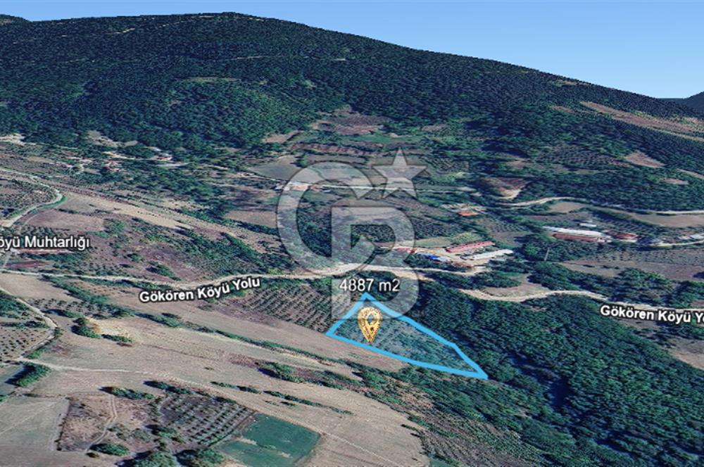 MUDURNU GÖKÖREN DE KÖY İÇİ 4887 M2 TARLA