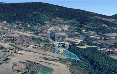 MUDURNU GÖKÖREN DE KÖY İÇİ 4887 M2 TARLA