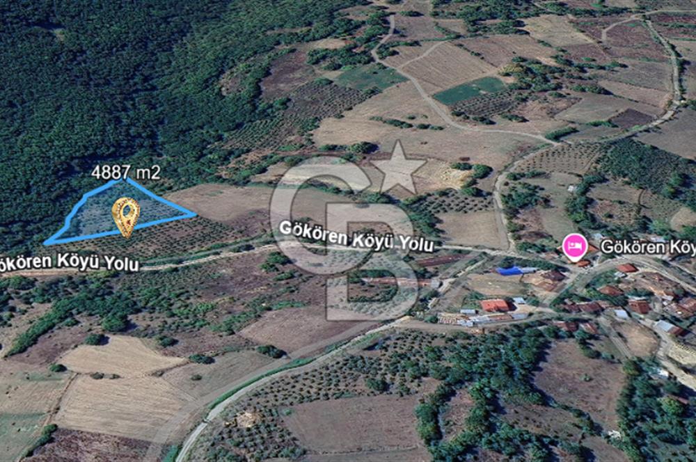 MUDURNU GÖKÖREN DE KÖY İÇİ 4887 M2 TARLA