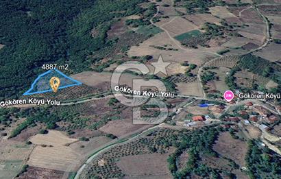 MUDURNU GÖKÖREN DE KÖY İÇİ 4887 M2 TARLA