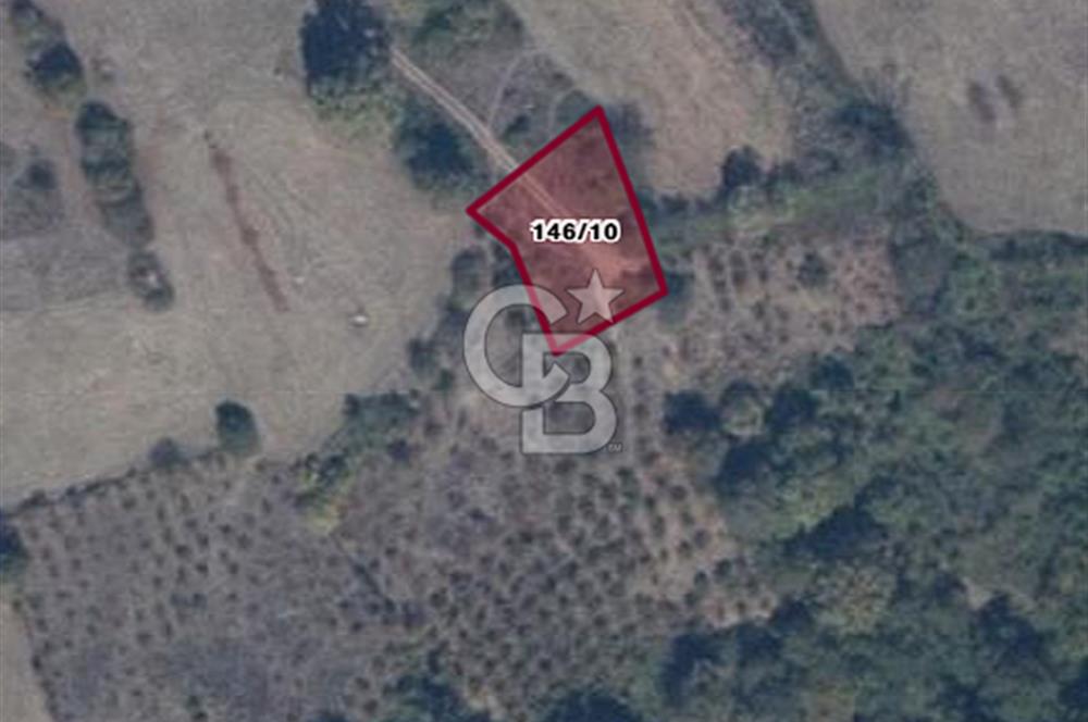 MUDURNU GÖKÖREN DE KÖY İÇİ KONUMDA YATIRIMLIK TARLA