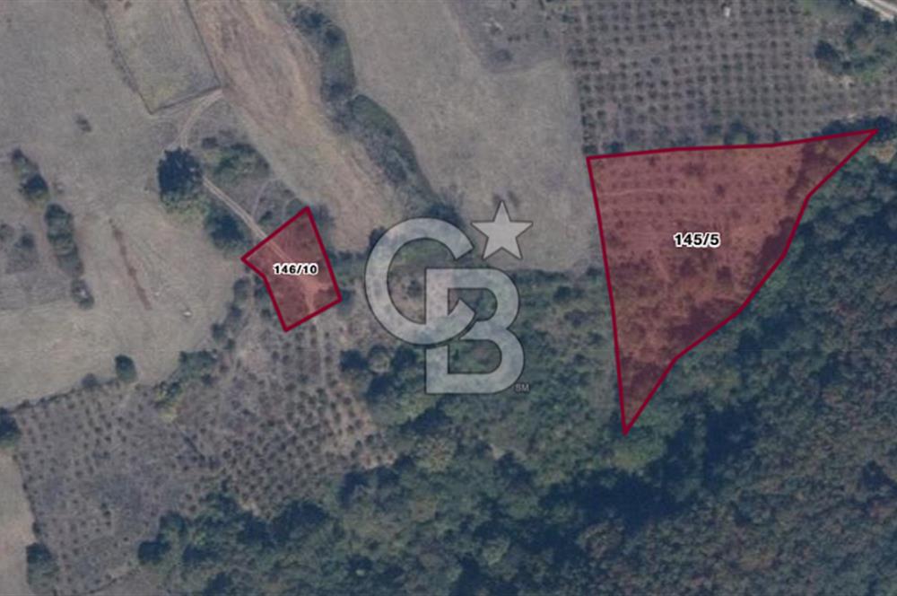 MUDURNU GÖKÖREN DE KÖY İÇİ KONUMDA YATIRIMLIK TARLA