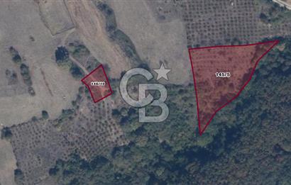 MUDURNU GÖKÖREN DE KÖY İÇİ KONUMDA YATIRIMLIK TARLA