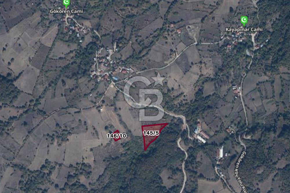 MUDURNU GÖKÖREN DE KÖY İÇİ KONUMDA YATIRIMLIK TARLA