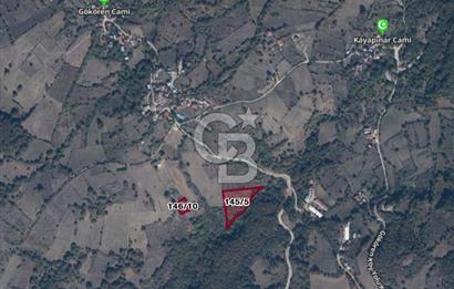 MUDURNU GÖKÖREN DE KÖY İÇİ KONUMDA YATIRIMLIK TARLA